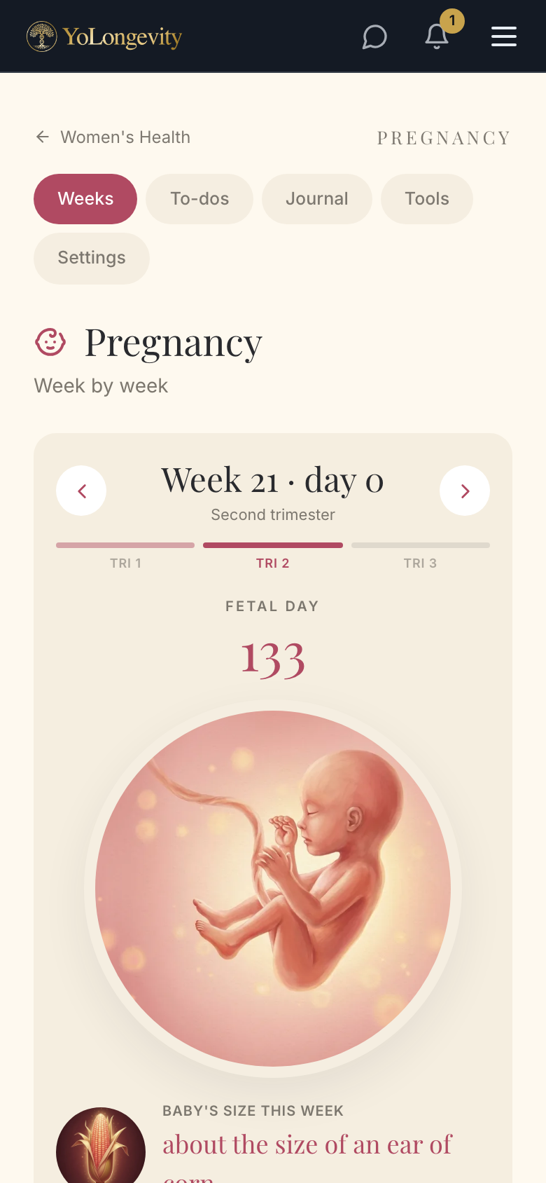 Pregnancy tracking — baby's size this week